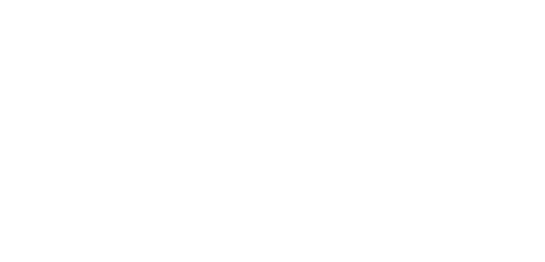 Shenzhen Fly International Logistics Co., Ltd.