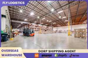 Fly International Logistics