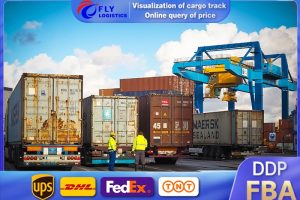 DHL Express Delivery From China Shenzhen To USA CANADA MEXICO