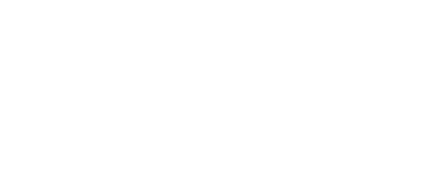 Fly LOGO