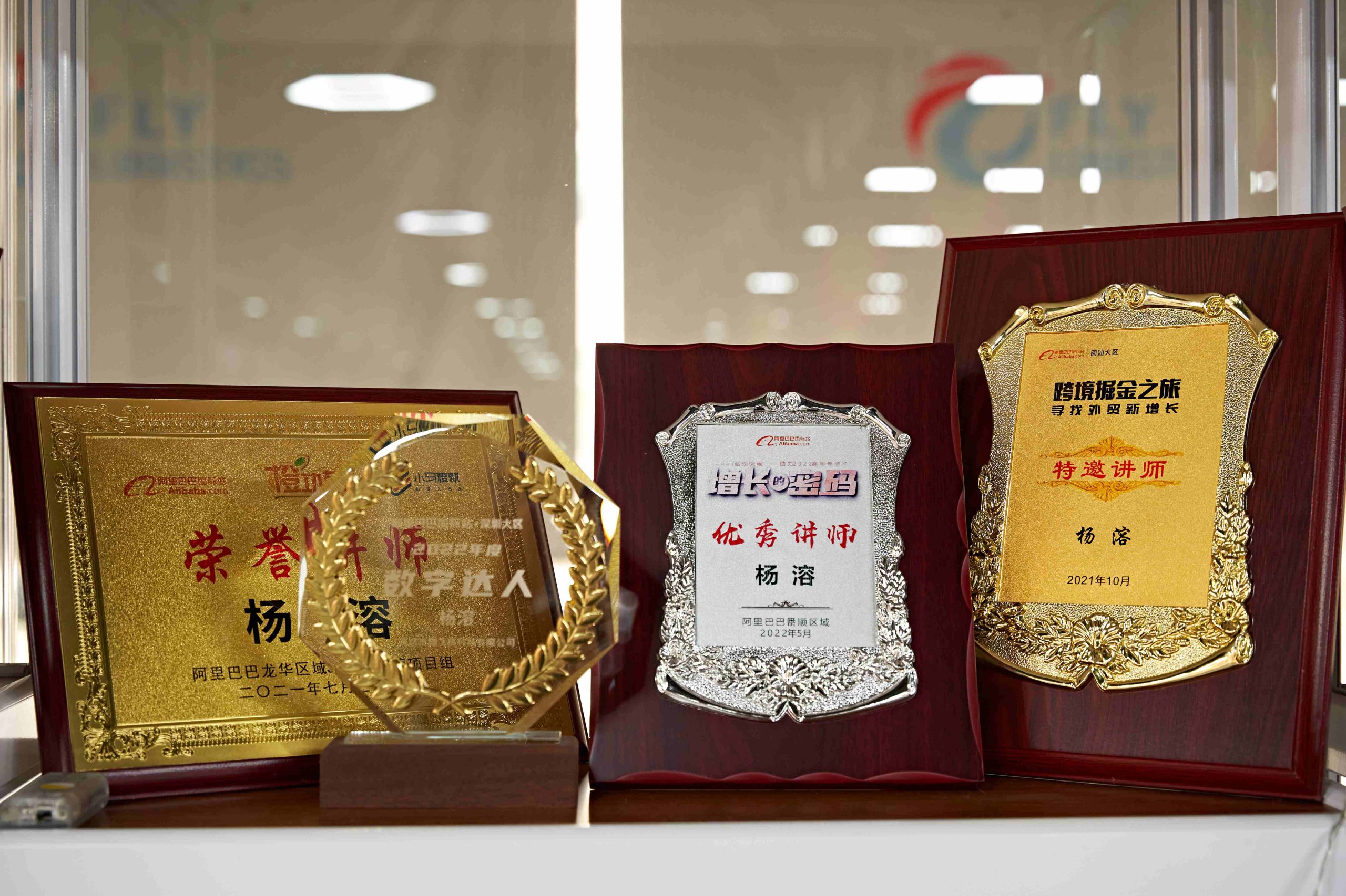 FLY LOGISTICS Wins 2024 Gold Logistics Service Provider Award